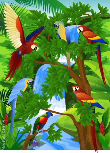 Beautiful parrot in nature
