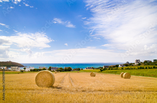 Quadro su tela paysage de campagne maritime en bretagne