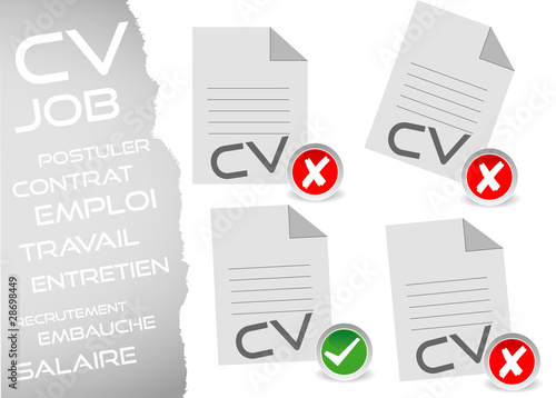 curriculum vitae