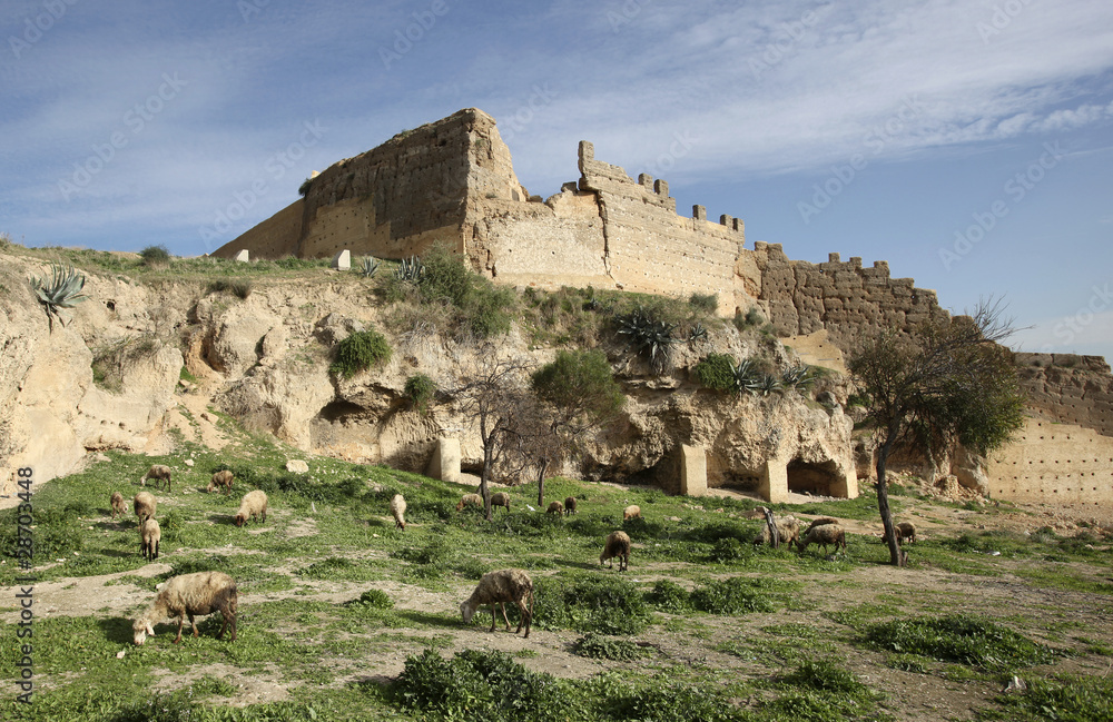 Ruins, Fes, Morocco