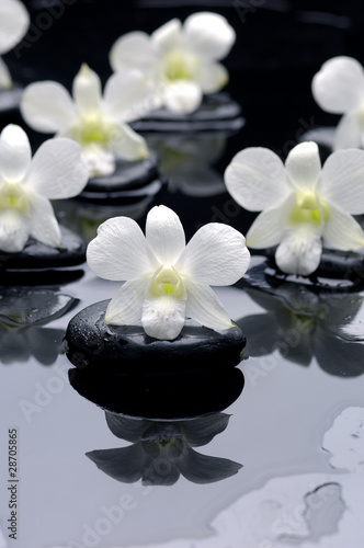 Zen stones and orchids with water drops