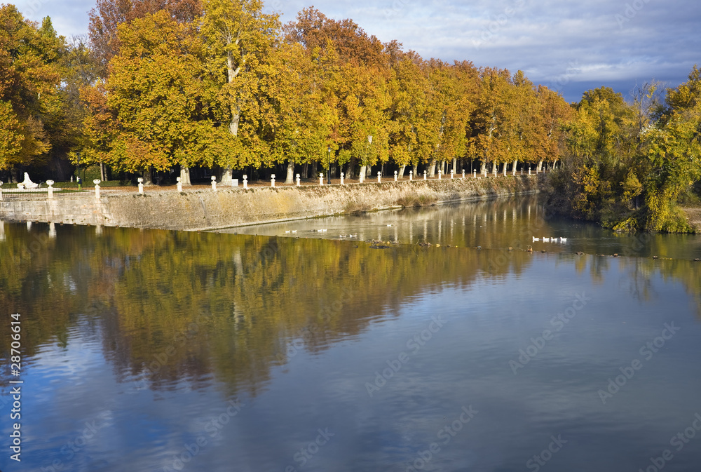 Fototapeta premium Rio Tajo en Aranjuez