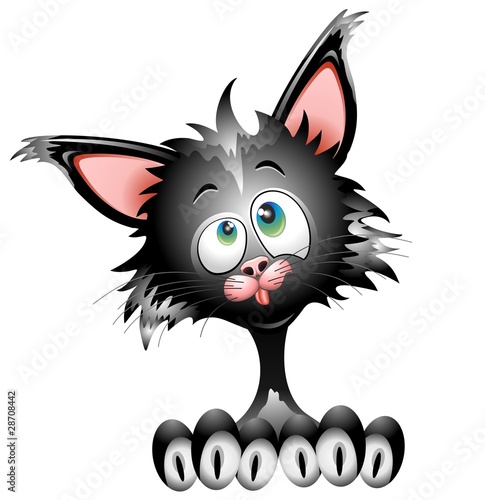 Gatto Cartoon-Cartoon Cat-Vector