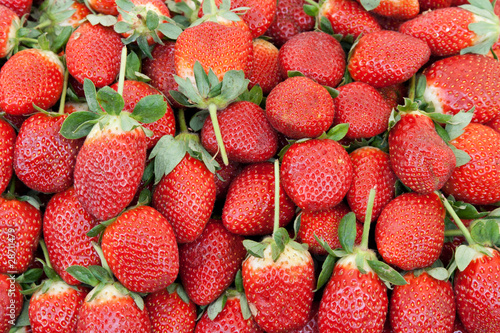 Ripe red strawberries