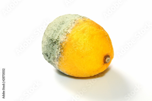 Citron bio moisi photo
