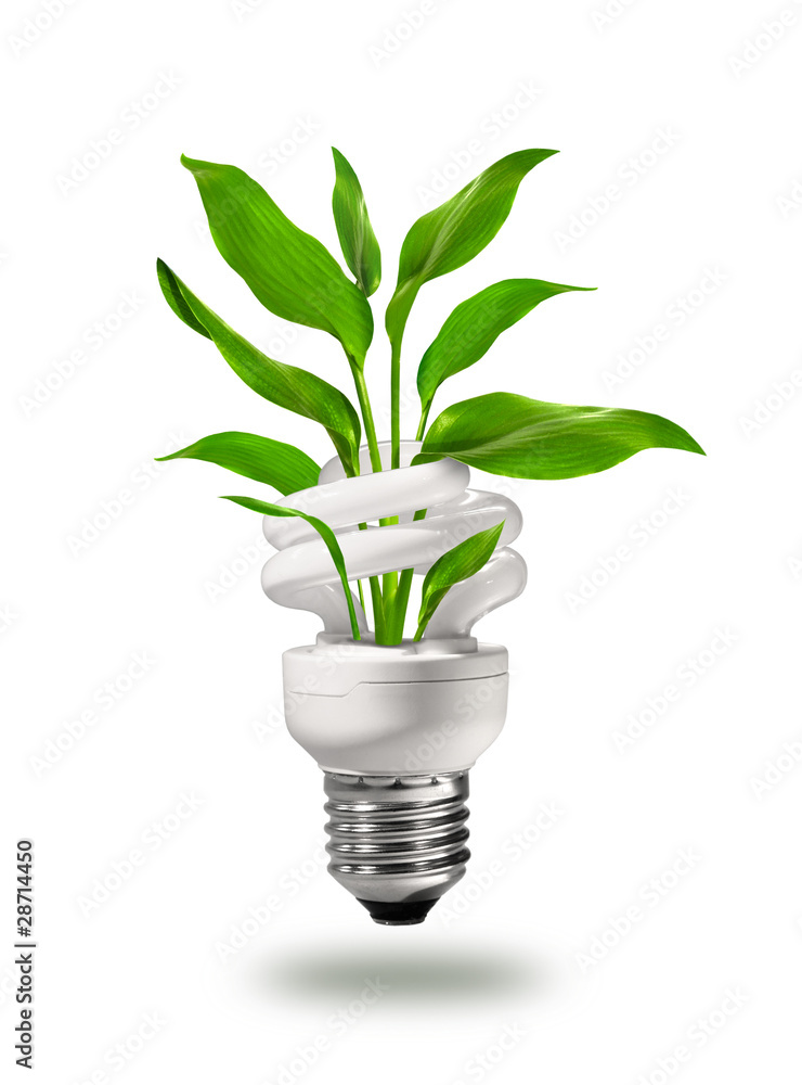 Energy saving eco lamp with green values concept Energy saving eco lamp with green values concept