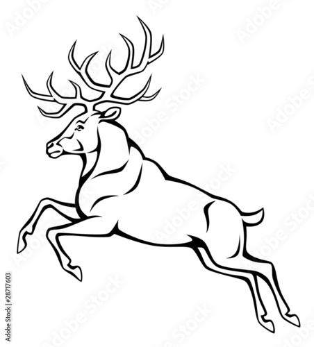 jumping deer