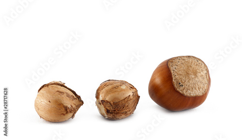 Hazelnuts