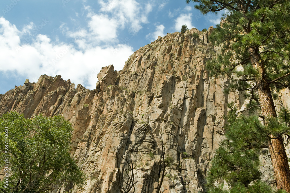 Cimarron Canyon State Park Palisade Cliff Sangre de Cristo NM