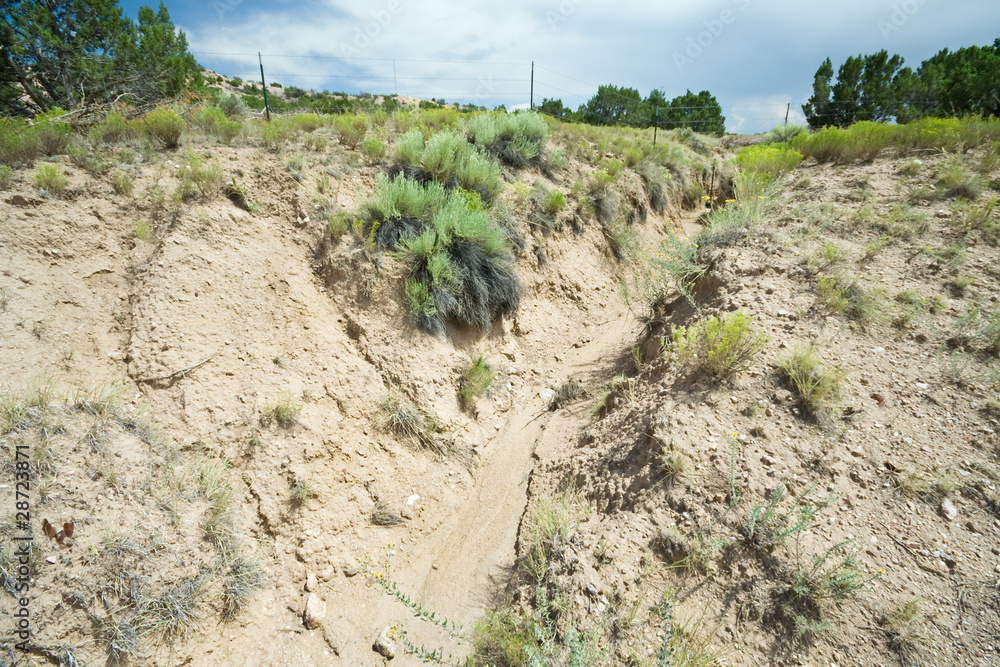 Erosion Created Gully Wash Arroyo in North Central New Mexico