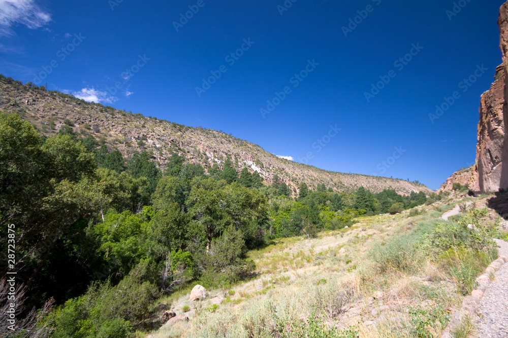 Tuff Ash Valles Caldera, Bandelier National Monument New Mexico