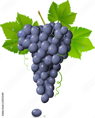 Grape cluster