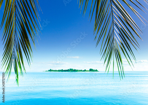 Heaven Palm Landscape