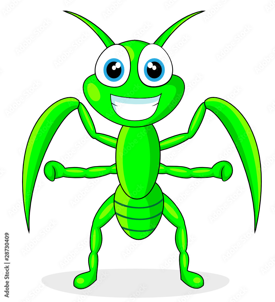 cute praying mantis cute praying mantis