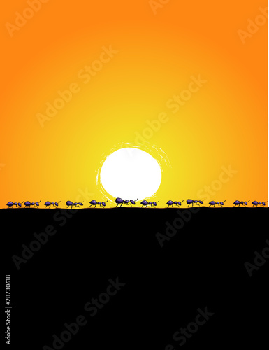 Background Illustration of marching ants