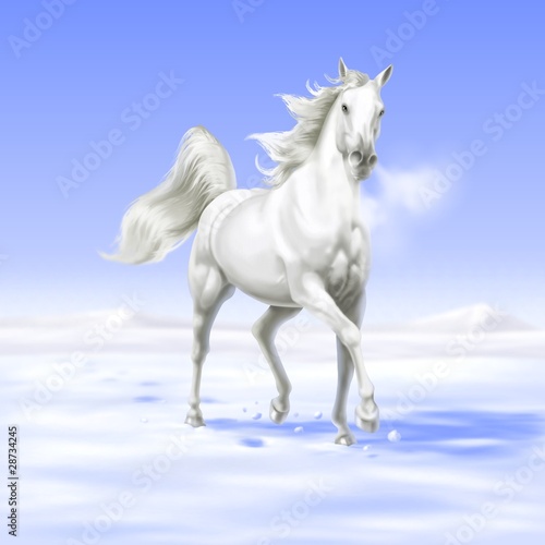 Fototapeta Naklejka Na Ścianę i Meble -  cavallo sulla neve