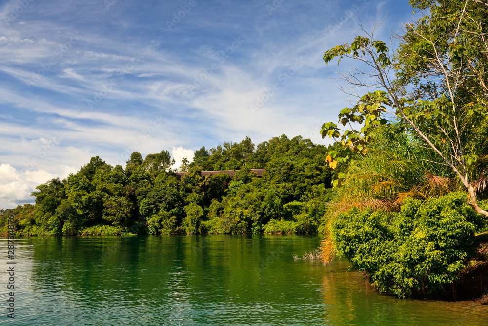 A river flowing through a rainforest A river flowing through a rainforest