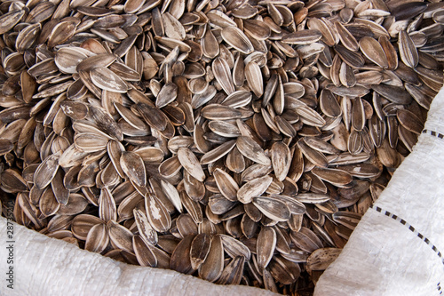 Obraz na plátně Sunflower seeds