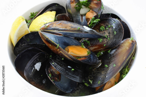 steamed mussels photo