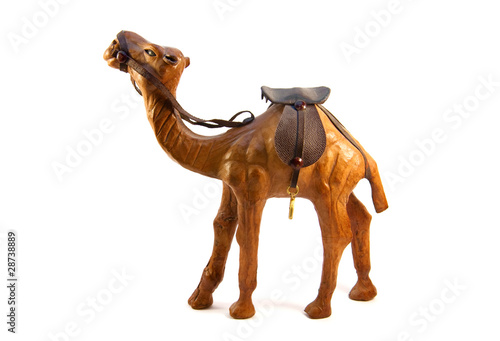 camel