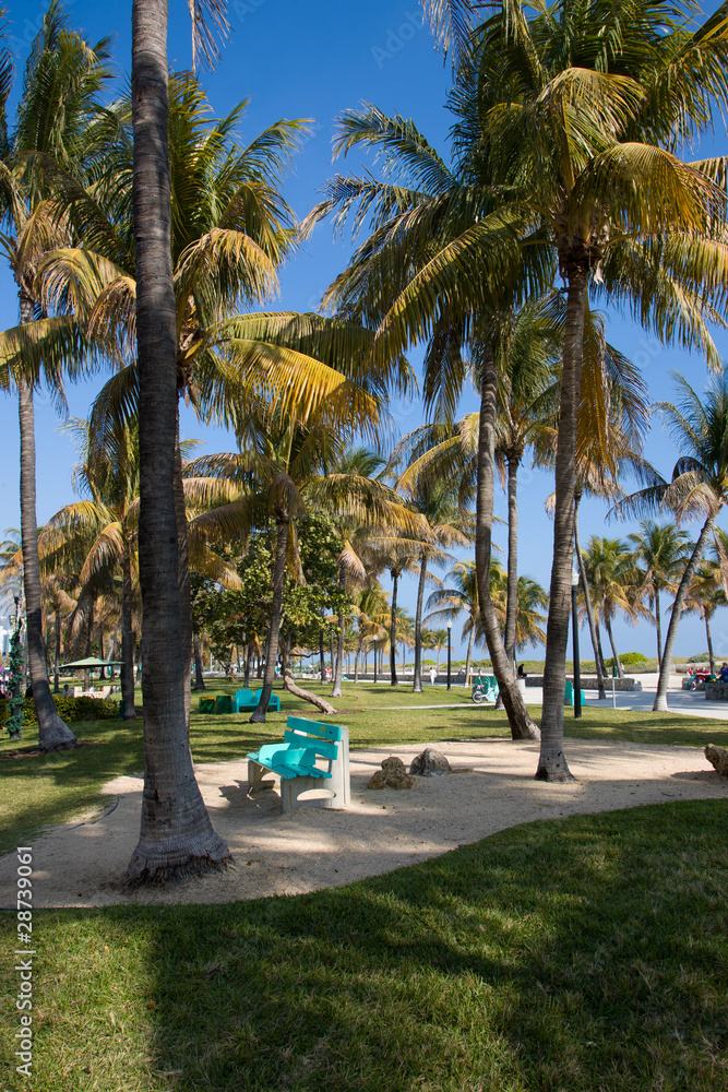 Fototapeta premium Miami Beach shore line