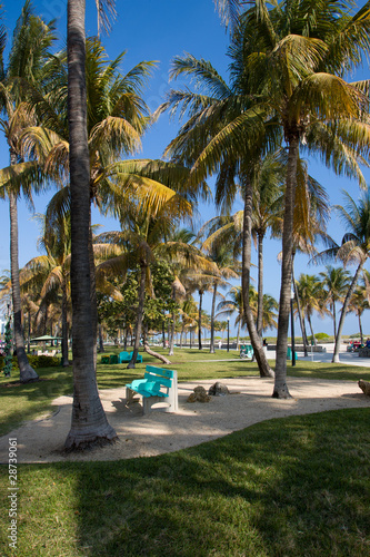 Miami Beach shore line