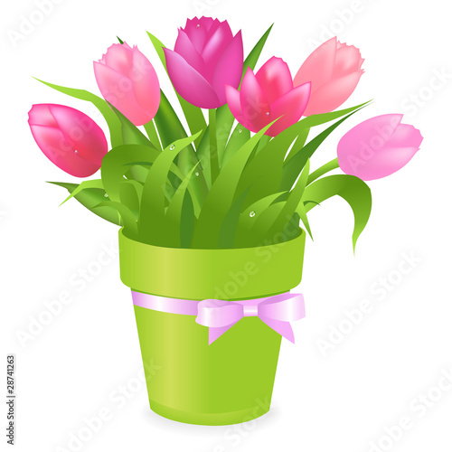 Fototapeta Naklejka Na Ścianę i Meble -  Pink Tulips