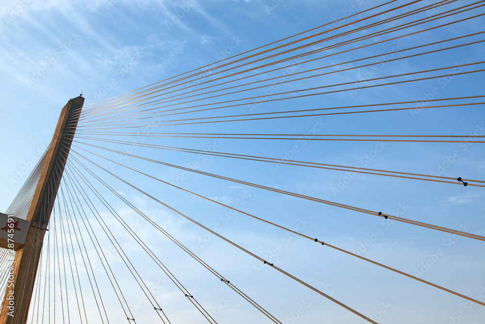 Obraz premium cable stayed bridge