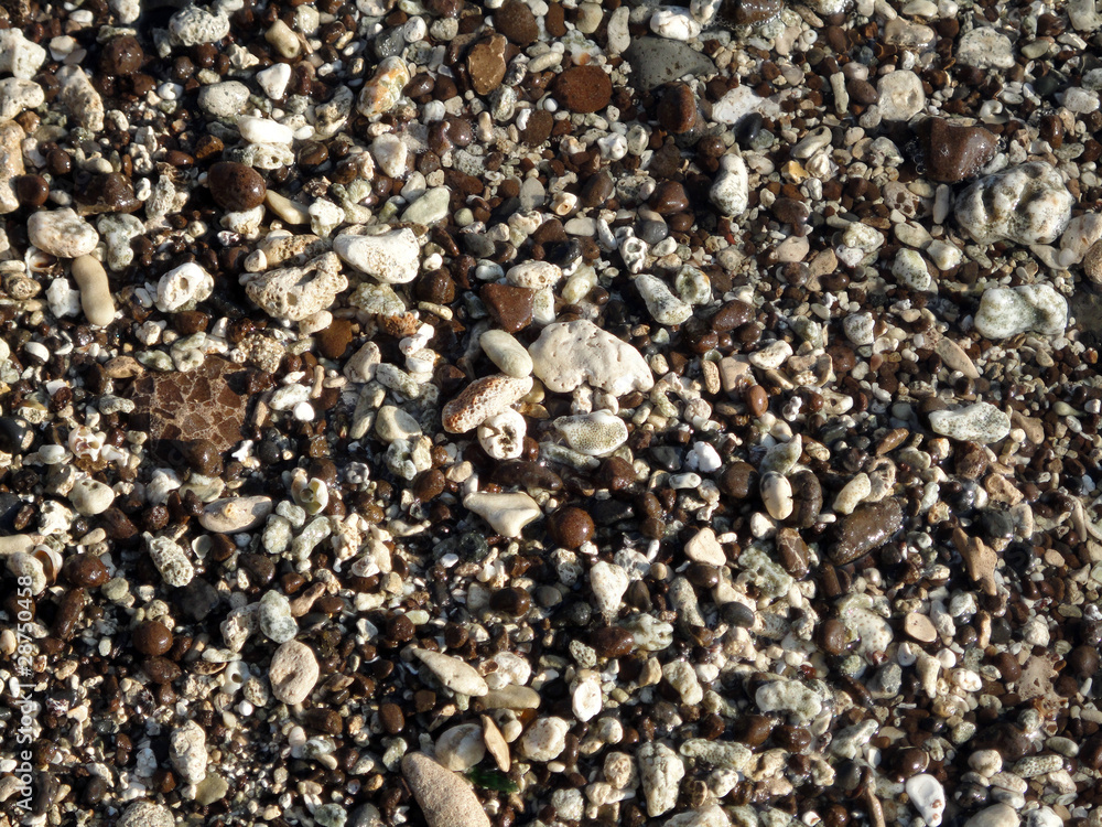 Wet rocks, pebbles, and stones on a beach on Oahu Wet rocks, pebbles, and stones on a beach on Oahu