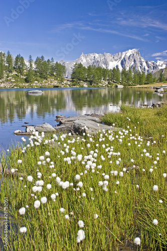 Lac d´Arpy photo