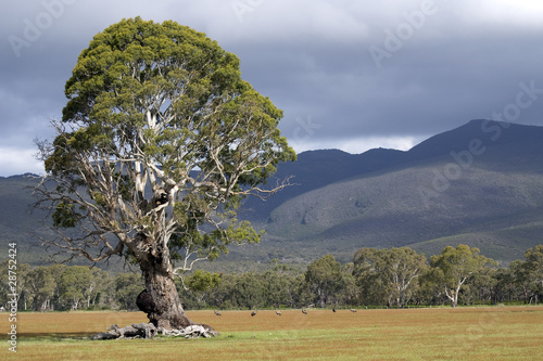 Victoria Valley