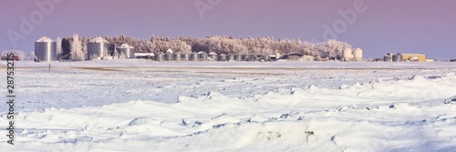 Farmyard in Winter
