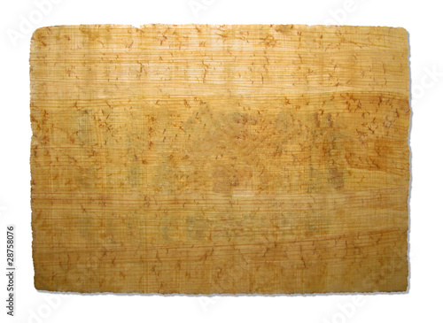 Old piece of papyrus texture