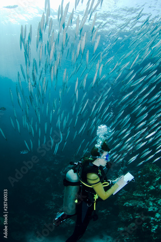 Scuba diving course photo
