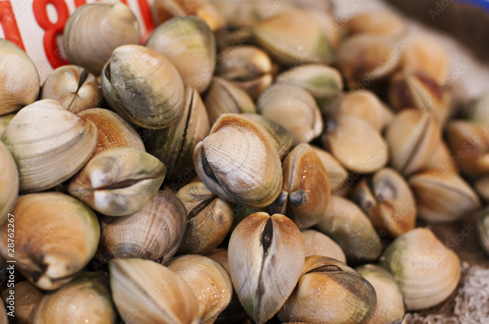 Vongole Vongole