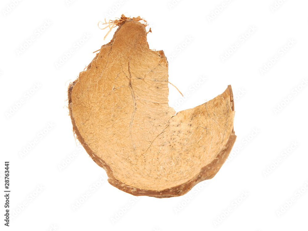 a coconut shell on white a coconut shell on white