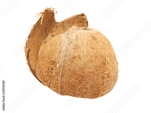 a coconut shell on white