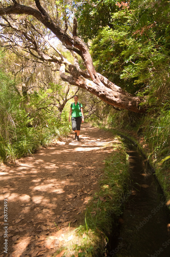 Levada Hiking