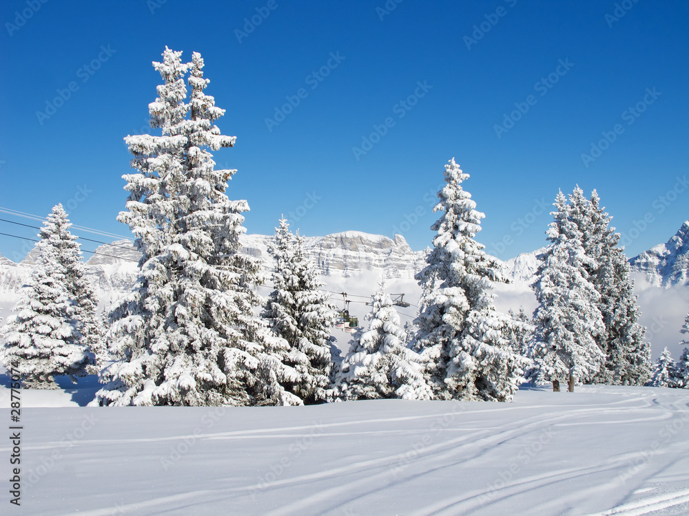 Winter in the alps