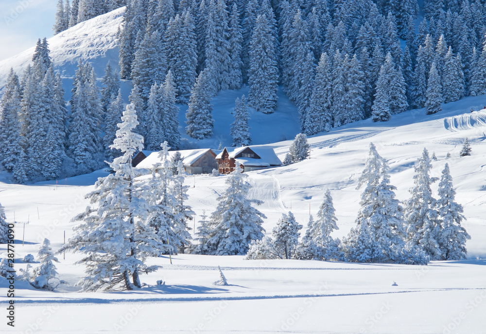 Fototapeta premium Winter holiday house