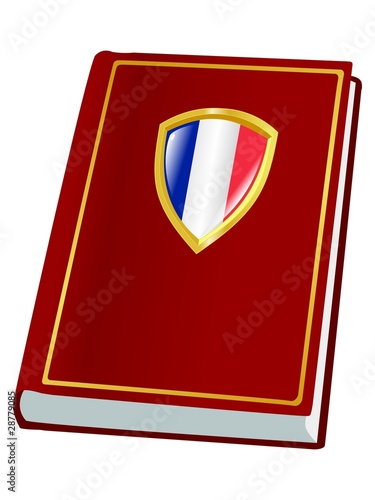 constitution of France