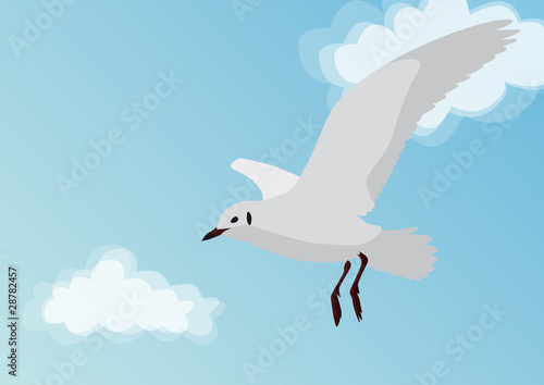 Möwe