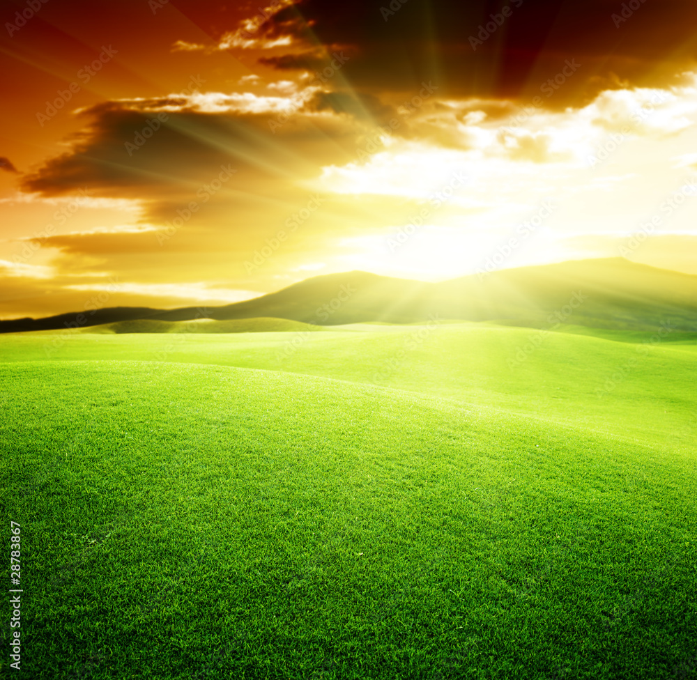 green field and sunset