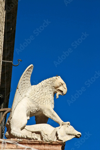 Grifone di Perugia