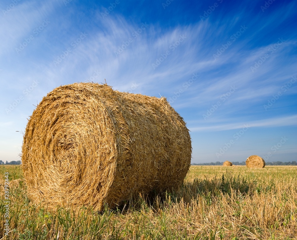 haystack on a field