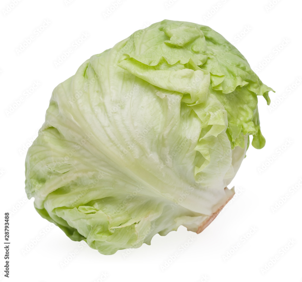 Cabbage lettuce isolated Cabbage lettuce isolated