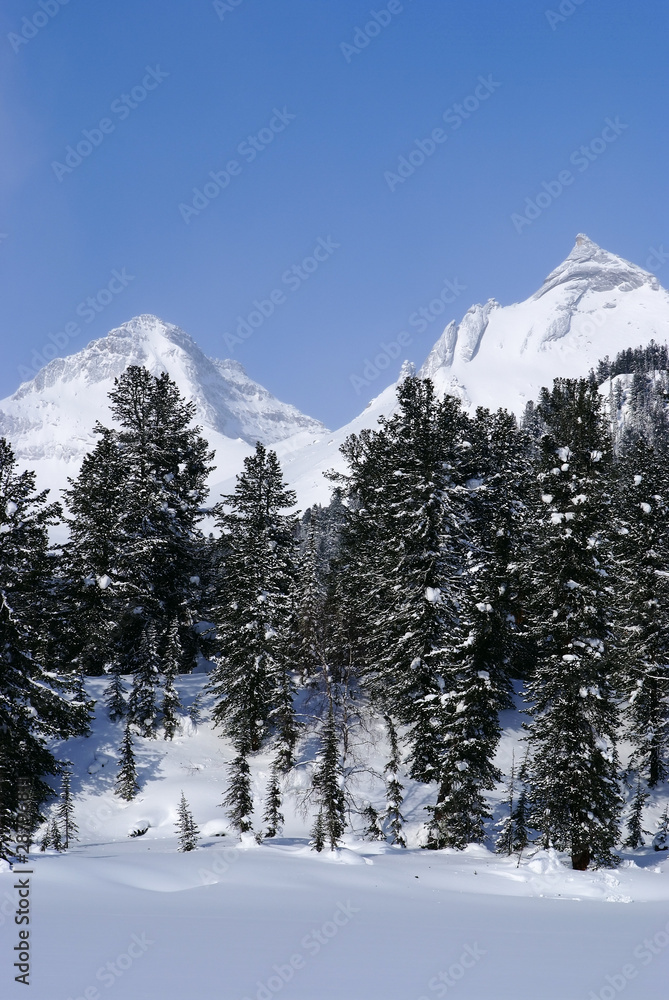 Fototapeta premium Western Sayan mountains. Ergaky. Siberia. Russia in winter time.