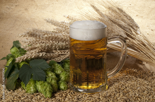 beer with barley and hop