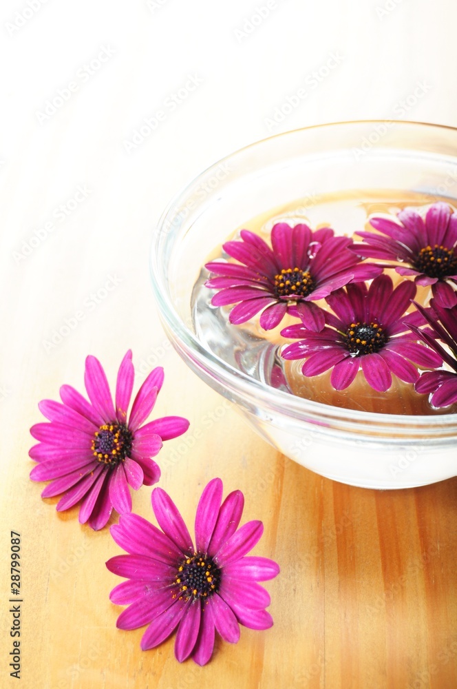 spa flowers spa flowers