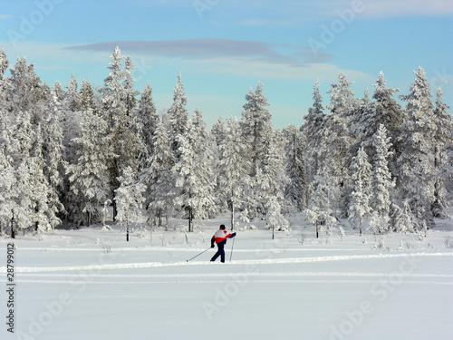 Langlauf in Schweden